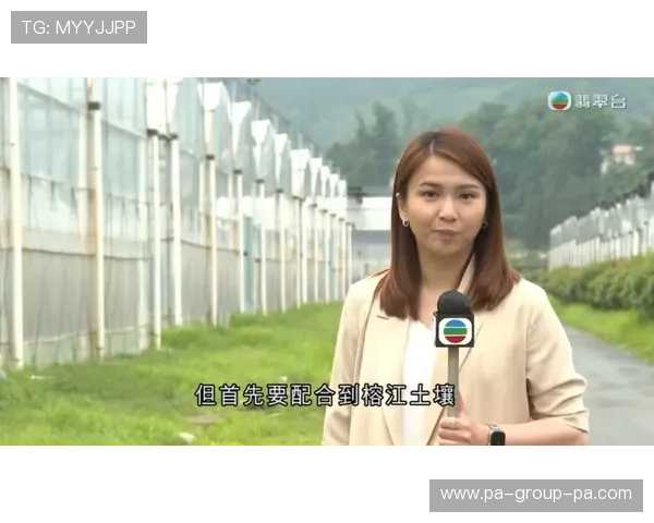 翡翠台在线直播高清观看完整频道 翡翠台在线直播高清观看完整频道